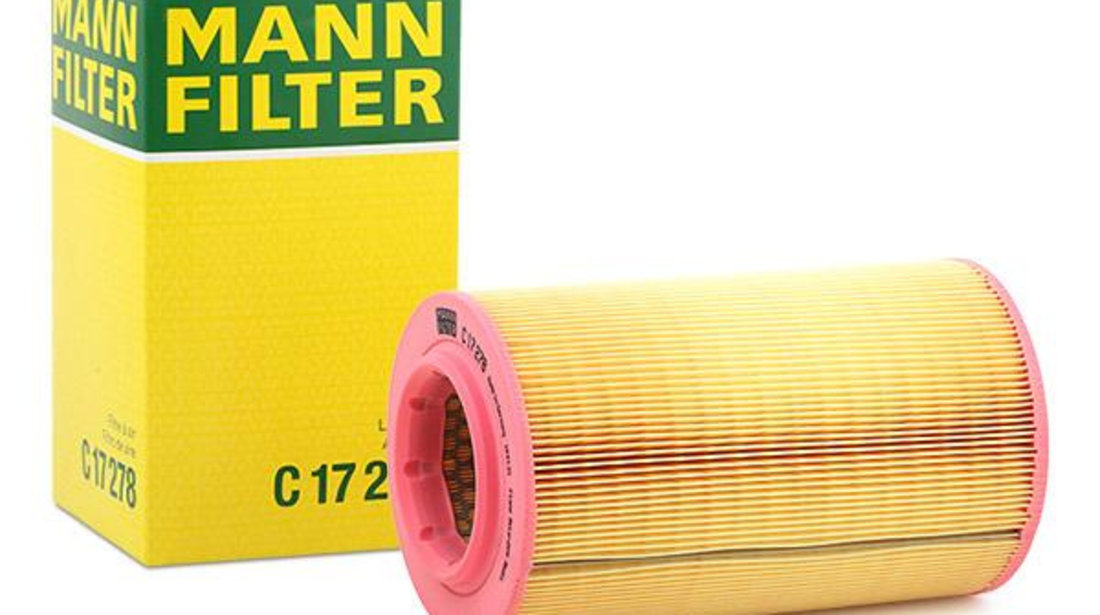 Filtru Aer Mann Filter C17278