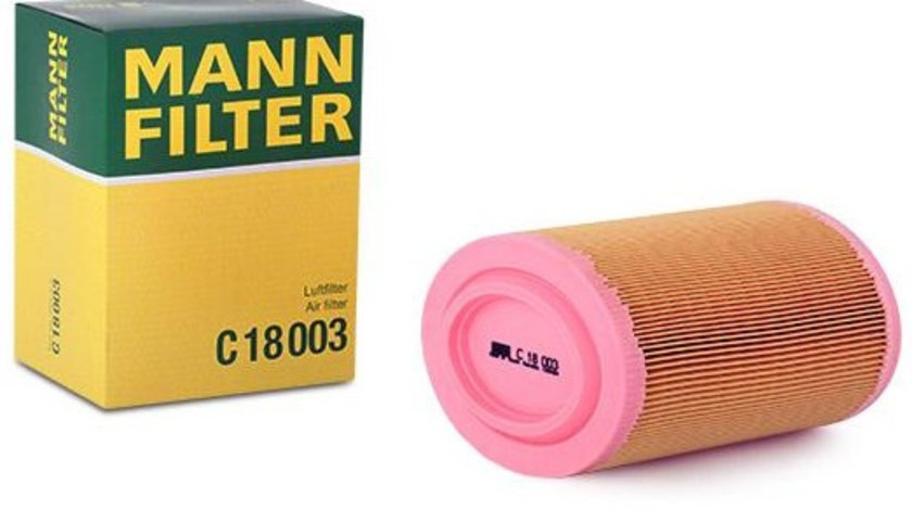 Filtru Aer Mann Filter C18003