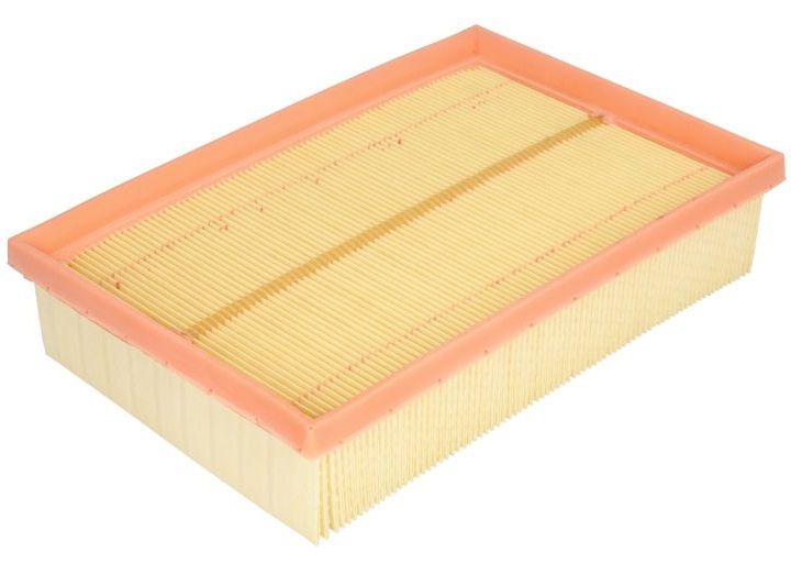 Filtru Aer Mann Filter C24041
