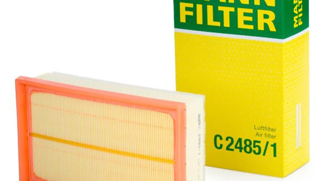 Filtru Aer Mann Filter C2485/1