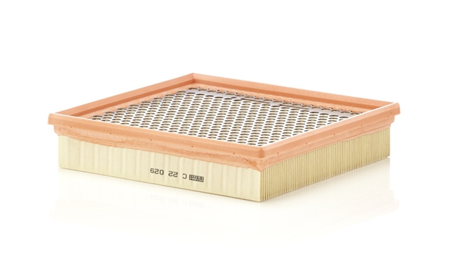 Filtru Aer Mann-filter Chrysler C 22 029