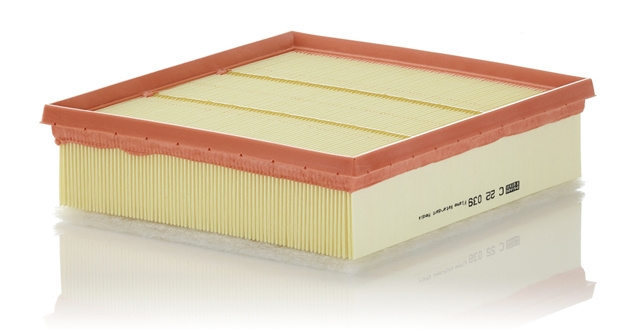 Filtru Aer Mann-filter Chrysler C 22 039