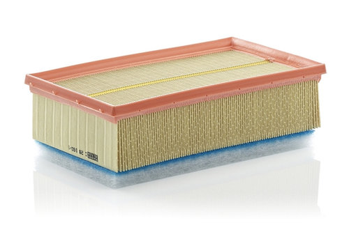 Filtru Aer Mann-filter Citroën C 28 160/1