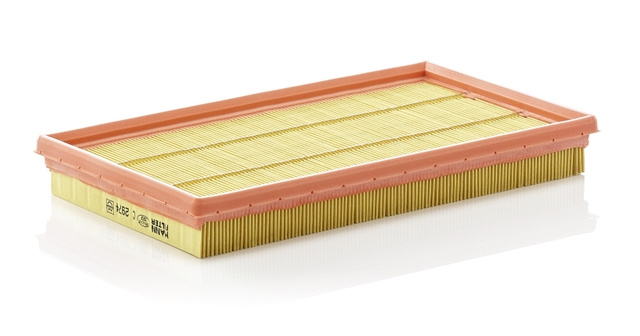 Filtru Aer Mann-filter Citroën C 2974