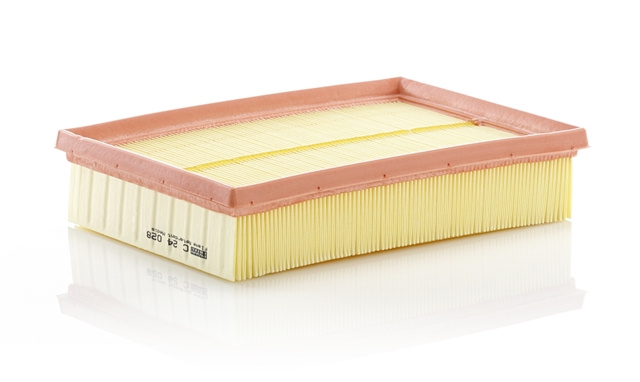 Filtru Aer Mann-filter Daewoo C 24 028