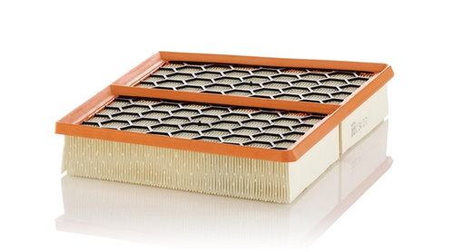 Filtru Aer Mann-filter Fiat C 34 017