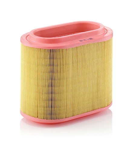 Filtru Aer Mann-filter Hyundai C 24 196