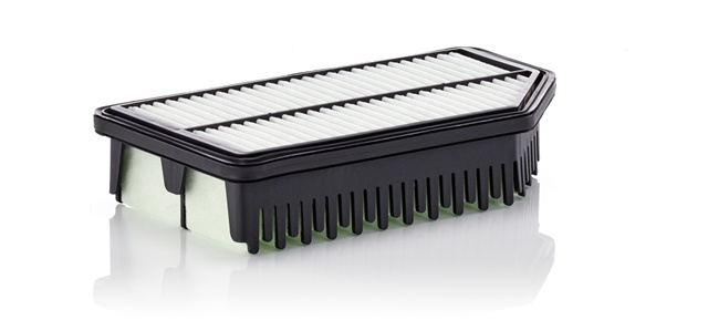 Filtru Aer Mann-filter Hyundai C 25 016