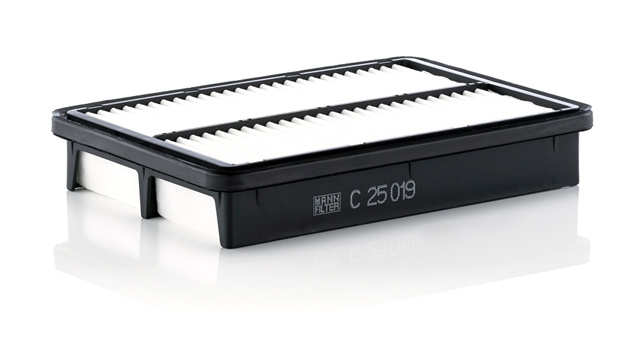 Filtru Aer Mann-filter Kia C 25 019