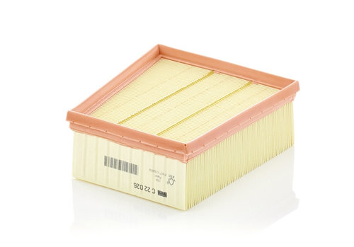 Filtru Aer Mann-filter Renault C 22 026