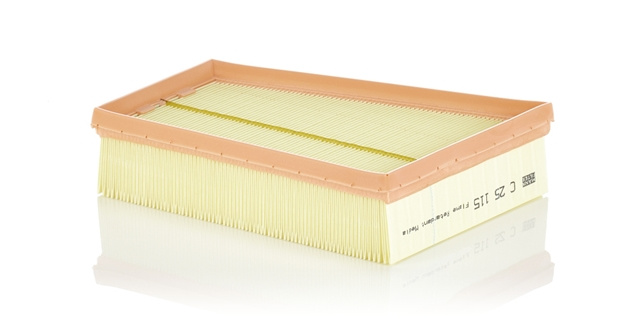 Filtru Aer Mann-filter Renault C 25 115