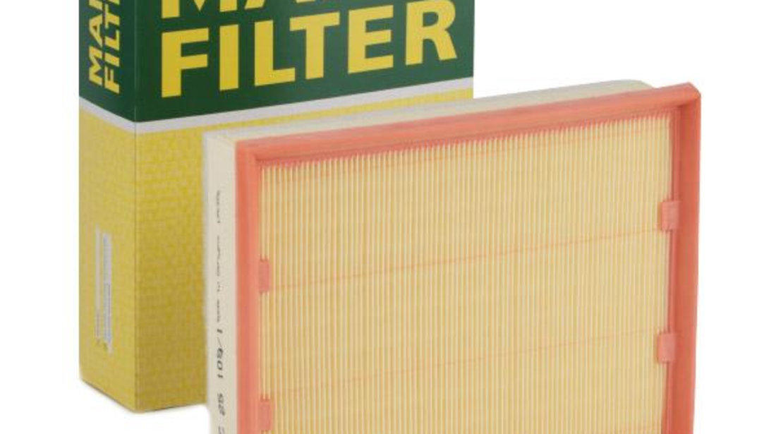 Filtru Aer Mann Filter Renault Laguna 3 2007-2015 C25109/1