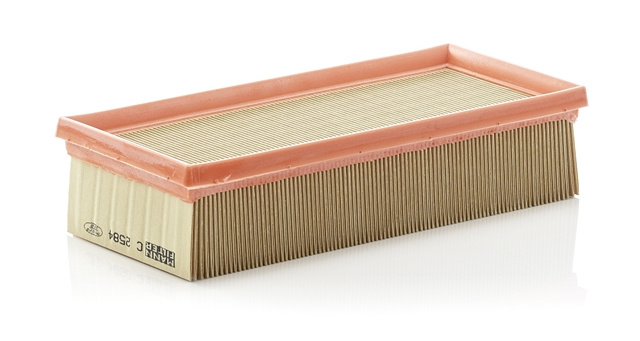 Filtru Aer Mann-filter Smart C 2584