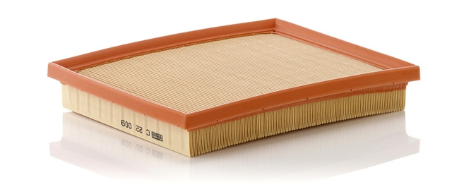 Filtru Aer Mann-filter Toyota C 22 009