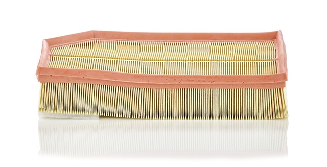 Filtru Aer Mann-filter Volvo C 33 194