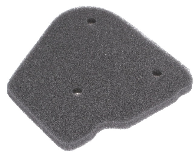 Filtru Aer Moto Rms RMS 10 060 0031