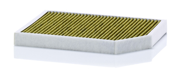 Filtru Aer Polen Mann-filter Bentley FP 32 007/1