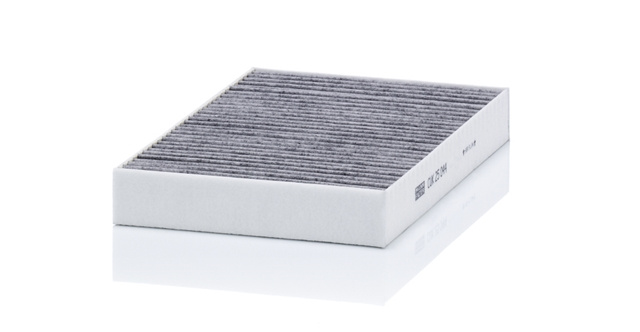 Filtru Aer Polen Mann-filter Tesla CUK 2