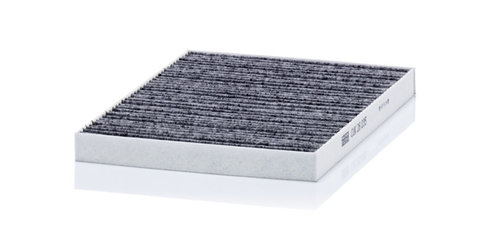 Filtru Aer Polen Mann-filter Tesla CUK 26 035