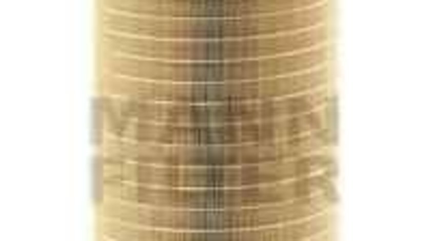 Filtru aer Producator MANN-FILTER C 25 710/3