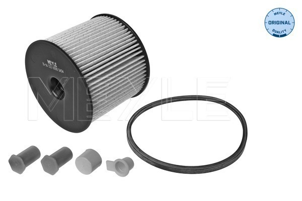 Filtru combustibil (11163230000 MEYLE) Citroen,FIAT,LANCIA,PEUGEOT,SUZUKI