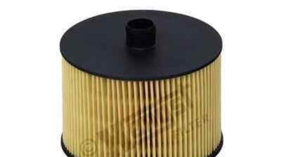 filtru combustibil PEUGEOT 407 (6D_) HENGST FILTER E79KP D118