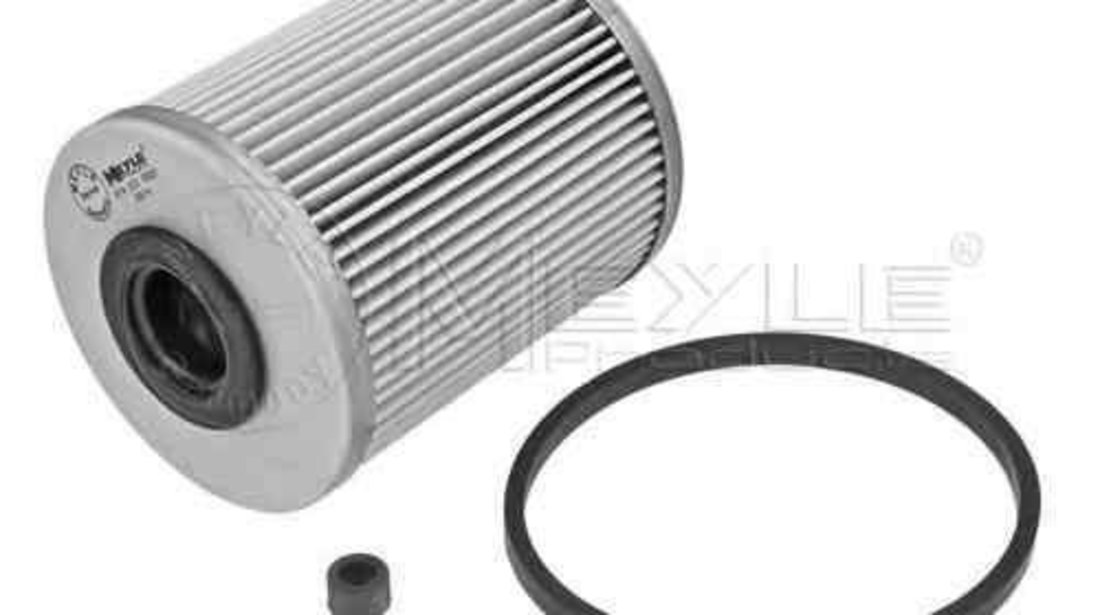 filtru combustibil RENAULT ESPACE IV (JK0/1_) MEYLE 614 323 0000