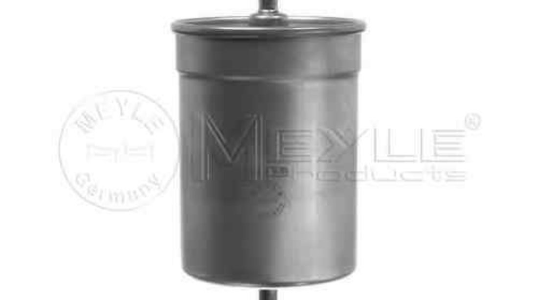 filtru combustibil RENAULT RAPID caroserie (F40_, G40_) Producator MEYLE 314 133 2108