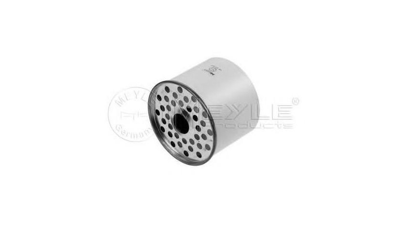 Filtru combustibil Volkswagen VW LT28-50 caroserie (281-363) 1975-1996 #2 061198552