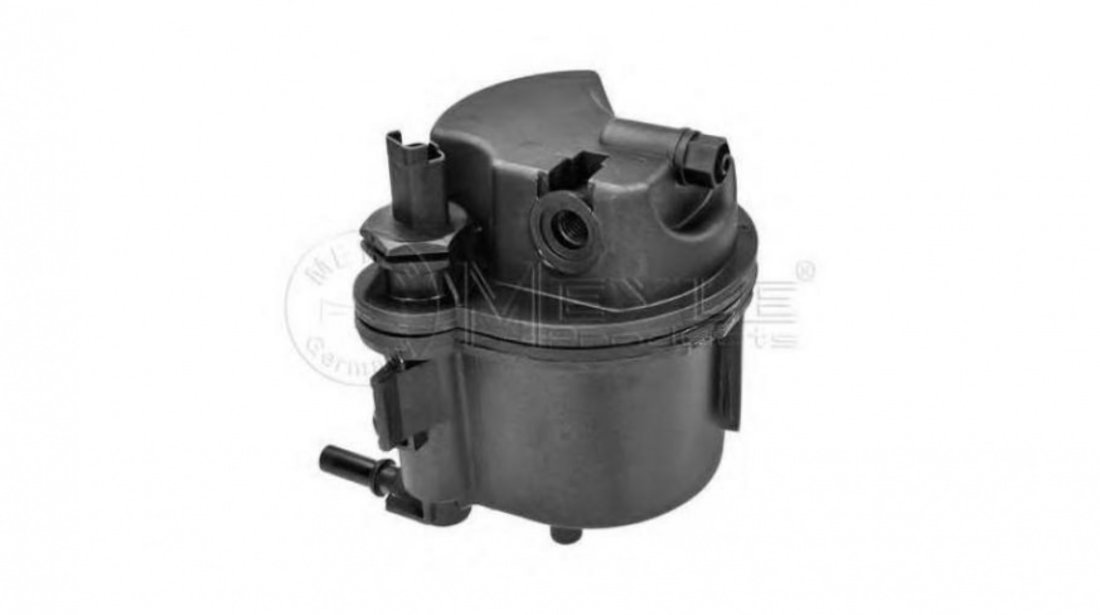 Filtru de combustibil Citroen C3 II 2009-2016 #2 0450906460