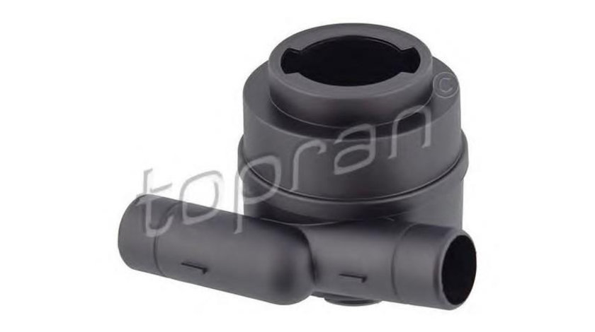 Filtru epurator gaze Volkswagen VW BORA (1J2) 1998-2005 #2 06A103465D