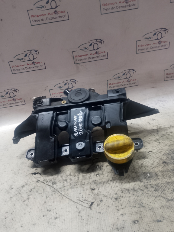 Filtru epurator Nissan Qashqai 1.6 Motorina 2012, 118302761R