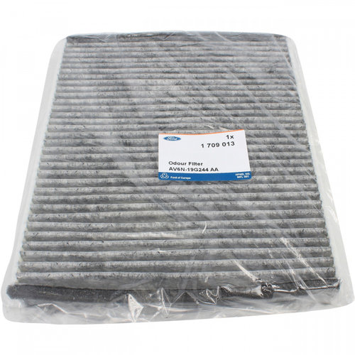 Filtru Polen Carbon Activ Oe Ford Tourneo Connect 2013→ 1709013