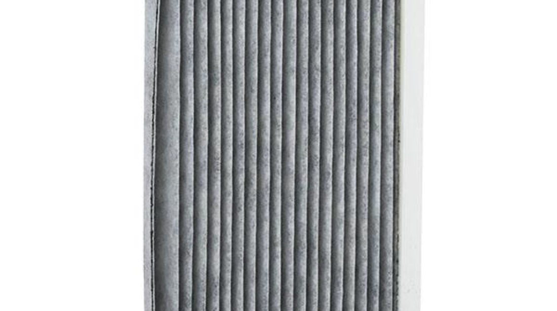 Filtru Polen Mann Filter Renault Fluence 2010→ CUK26005