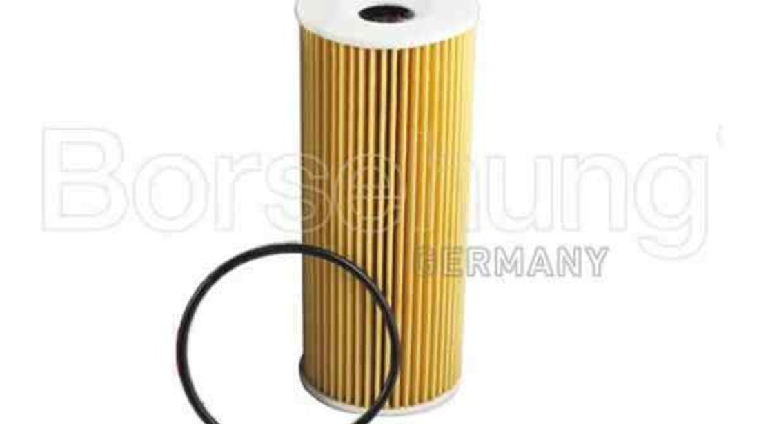 Filtru ulei AUDI A4 (8EC, B7) Borsehung B12816