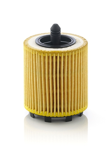 Filtru Ulei Mann-filter Saab HU 6007 X
