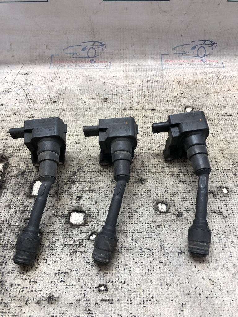 Fise bujii Ford Ecosport 1.0 Benzina 2015, CM5G12A366CB