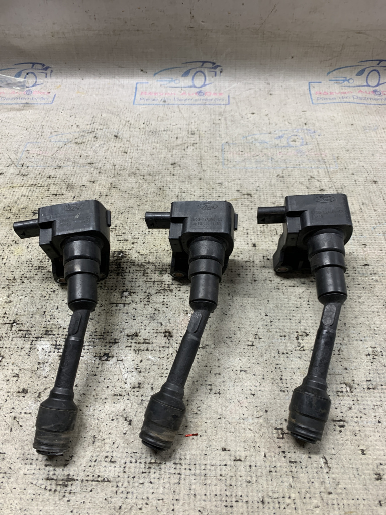 Fise bujii Ford Ecosport 1.0 Benzina 2019, CM5G12A366CB