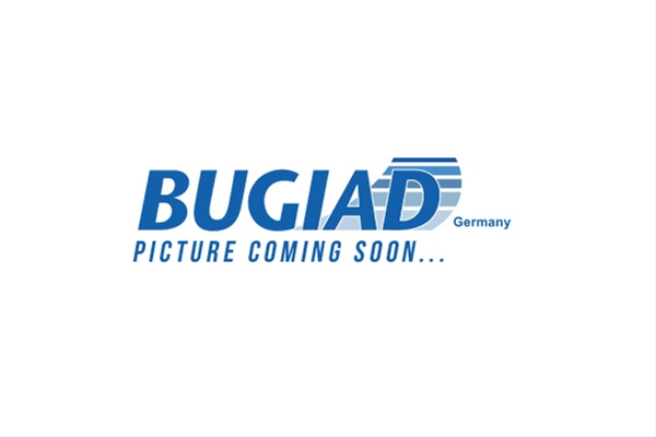 Fixare Usa Bugiad Opel BDC12462