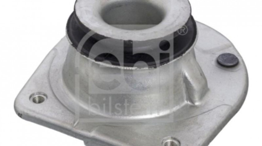 Flansa telescop Fiat PALIO (178BX) 1996-2016 #2 011054