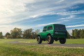 Ford Bronco de vanzare