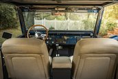 Ford Bronco de vanzare