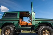 Ford Bronco de vanzare