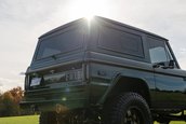 Ford Bronco de vanzare