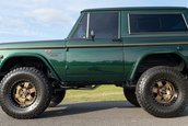 Ford Bronco de vanzare