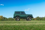 Ford Bronco de vanzare