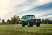 Ford Bronco de vanzare