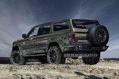 Ford Bronco- imagini digitale