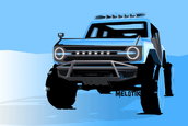 Ford Bronco Raptor