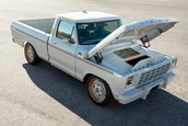 Ford F-100 Eluminator Concept